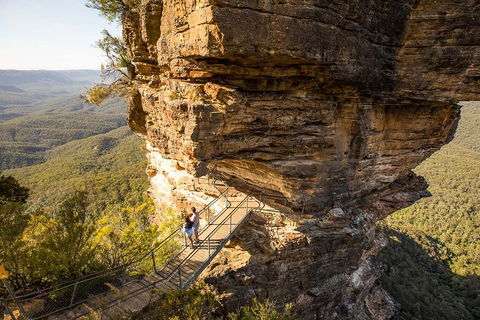 Private Guided: Blue Mountains Hiking & Nature Tour - New South Wales Tourism  4