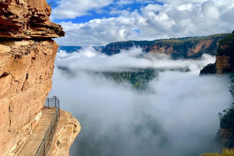Private Guided: Blue Mountains Hiking & Nature Tour - New South Wales Tourism  5