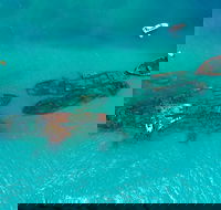 Private Tangalooma Wrecks Tour - New South Wales Tourism 