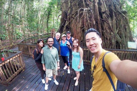 Cairns 4WD Waterfall And Rainforest Tour Including Kuranda Scenic Railway - New South Wales Tourism  0