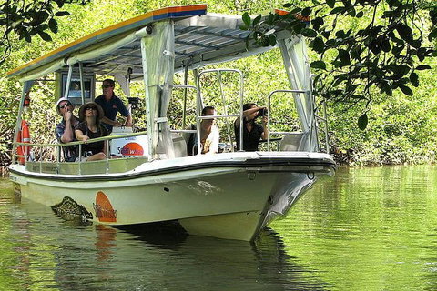 3-Day Best Of Cairns Combo: The Daintree Rainforest, Great Barrier Reef, And Kuranda - New South Wales Tourism  4