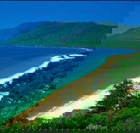 Cairns Reef and Rainforest Combo Daintree Rainforest and the Great Barrier Reef - New South Wales Tourism 