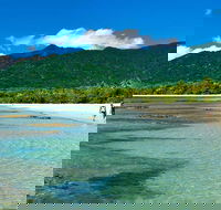 Private Daintree National Park Day Tour from Cairns Including Cape Tribulation and Mossman Gorge - New South Wales Tourism 
