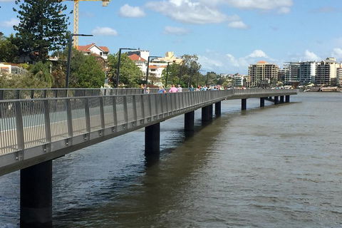 Brisbane City Highlights With Lone Pine! - New South Wales Tourism  1