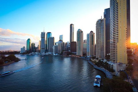 Brisbane City Highlights With Lone Pine! - New South Wales Tourism  3