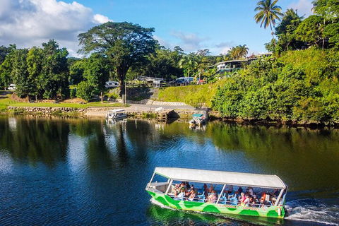 Afternoon Half-Day Daintree Rainforest And River Tour - New South Wales Tourism  1
