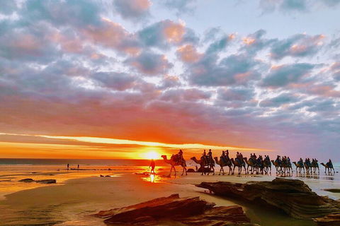 1 Hour Broome Sunset Camel Tour - New South Wales Tourism  0