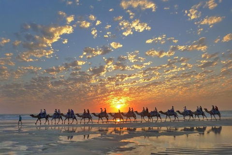 1 Hour Broome Sunset Camel Tour - New South Wales Tourism  1