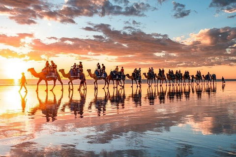 1 Hour Broome Sunset Camel Tour - New South Wales Tourism  2