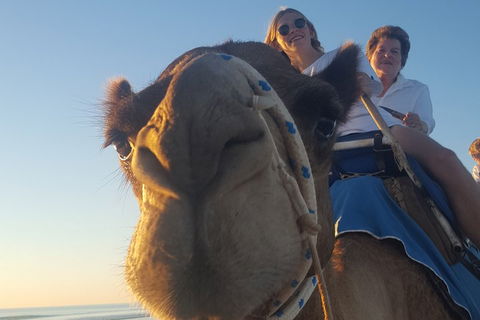 1 Hour Broome Sunset Camel Tour - New South Wales Tourism  4
