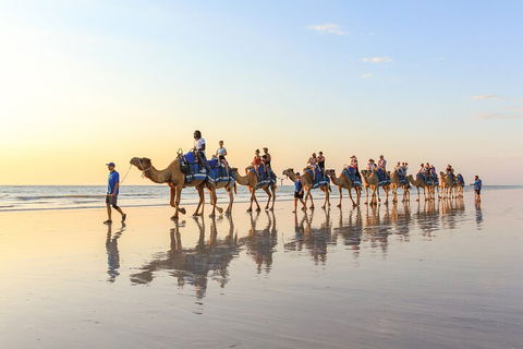 1 Hour Broome Sunset Camel Tour - New South Wales Tourism  5