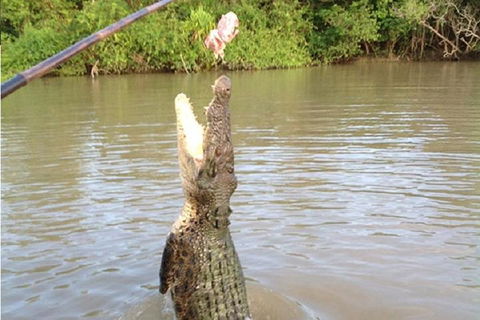 Litchfield National Park And Jumping Crocodile Cruise - New South Wales Tourism  2