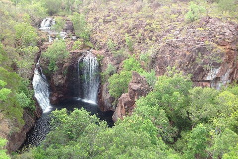 Litchfield National Park And Jumping Crocodile Cruise - New South Wales Tourism  4