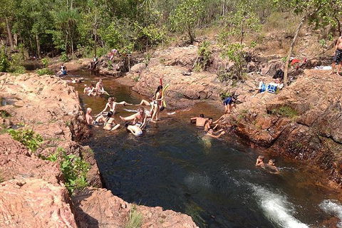 Litchfield National Park And Jumping Crocodile Cruise - New South Wales Tourism  5