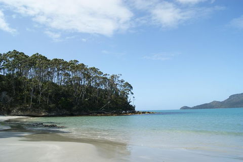 Bruny Island Day Trip From Hobart - New South Wales Tourism  1