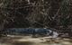 Kakadu Full-Day Tour From Darwin With Lunch - thumb 4