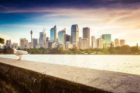 Private Sydney City And Bondi Beach Half Day Tour - New South Wales Tourism  2
