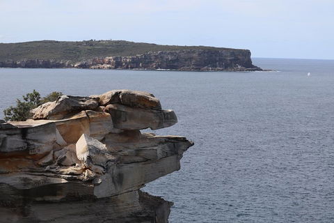 Private Sydney City And Bondi Beach Half Day Tour - New South Wales Tourism  3