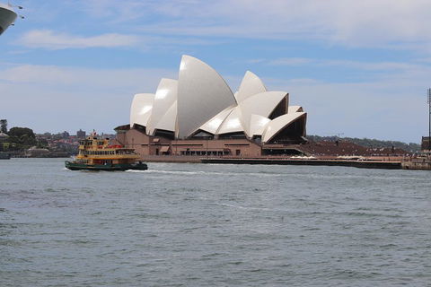 Private Sydney City And Bondi Beach Half Day Tour - New South Wales Tourism  5