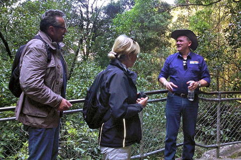Private Blue Mountains Day Tour Including Wildlife Park - New South Wales Tourism  3