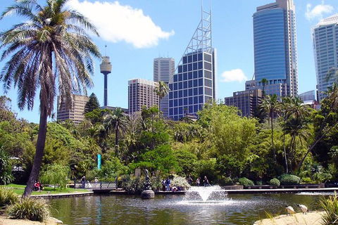 Private Sydney Half Day Tour Including Sydney Opera House And Bondi Beach - New South Wales Tourism  4