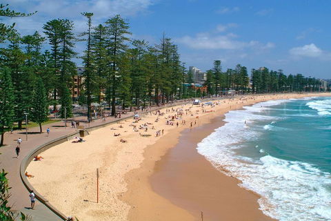 Private Sydney Full Day Tour Including Sydney Opera House, Bondi And Manly - New South Wales Tourism  3