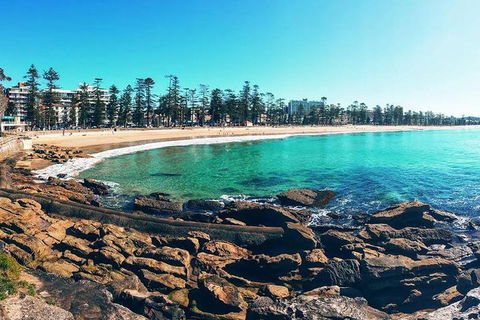 Private Sydney Full Day Tour Including Sydney Opera House, Bondi And Manly - New South Wales Tourism  5