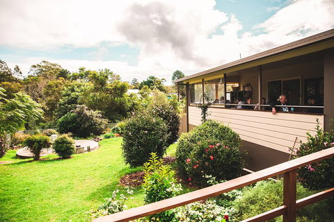 Full-day Springbrook National Park Tour From The Gold Coast - New South Wales Tourism  2