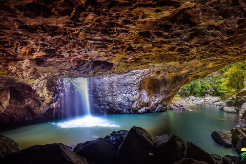 Full-day Springbrook National Park Tour From The Gold Coast - New South Wales Tourism  3