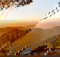 O'Reilly's  Lamington National Park incl. Alpaca Farm  Vineyard - New South Wales Tourism 