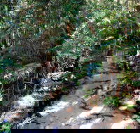Fraser Island 4WD Tour from Rainbow Beach - New South Wales Tourism 