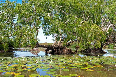 Ethical Adventures - Best In The WET - Litchfield / Kakadu 3 Day- Max 10 Guests - New South Wales Tourism  1