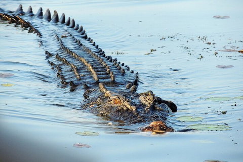 Ethical Adventures - Best In The WET - Litchfield / Kakadu 3 Day- Max 10 Guests - New South Wales Tourism  4