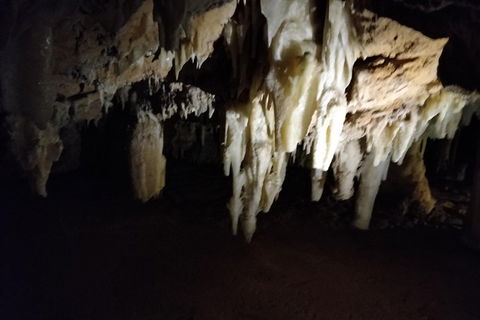 The Pinnacle Adventure Tour - New South Wales Tourism  0