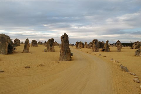 The Pinnacle Adventure Tour - New South Wales Tourism  1