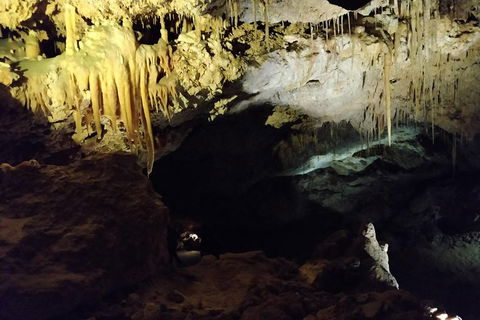 The Pinnacle Adventure Tour - New South Wales Tourism  2