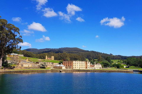 Tasmania 4 Day East Coast + Launceston - New South Wales Tourism  0