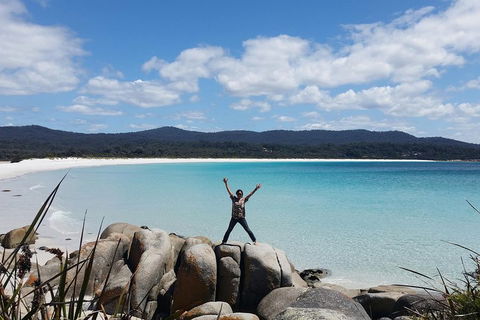 Tasmania 4 Day East Coast + Launceston - New South Wales Tourism  1