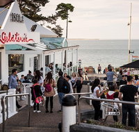 Phillip Island and French Island Wildlife Expedition - New South Wales Tourism 
