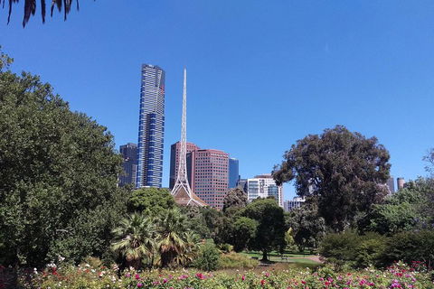 Melbourne City Private Tour - New South Wales Tourism  5