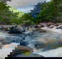 Cape Tribulation Day Tour - New South Wales Tourism 
