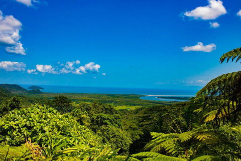 Cape Tribulation Day Tour - New South Wales Tourism  3