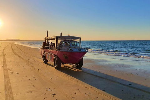 Town Of 1770 Afternoon Cruise - New South Wales Tourism  1