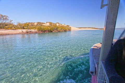 1770 Coastline Tour By LARC Amphibious Vehicle Including Picnic Lunch - New South Wales Tourism  5