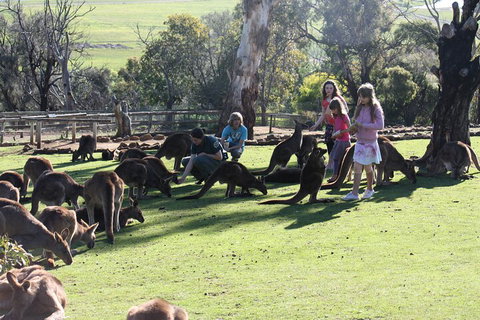 The Port Arthur MEGA Day Trip From Hobart - New South Wales Tourism  5