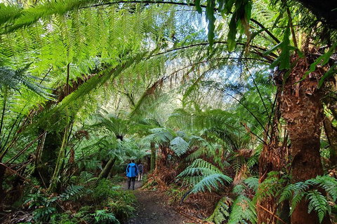 3-Day Adelaide To Melbourne Tour Including The Great Ocean Road - New South Wales Tourism  2