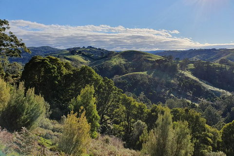 3-Day Adelaide To Melbourne Tour Including The Great Ocean Road - New South Wales Tourism  5