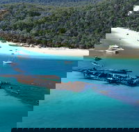 All Inclusive Tangalooma Wrecks Cruise Tour From Gold Coast - New South Wales Tourism 