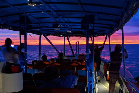 Darwin Sunset Cruise Including Fish 'n' Chips - New South Wales Tourism  1
