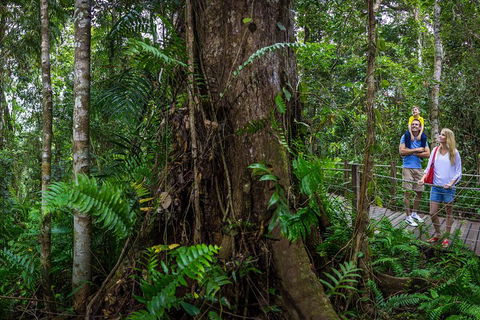 Kuranda Day Tour + HotAir Balloon Combo - New South Wales Tourism  3